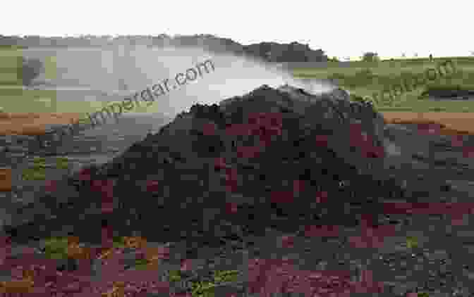 A Close Up Of A Steaming Compost Pile, Releasing Valuable Nutrients And Organic Matter. INTENSIVE GARDENING : All You Need To Know About Pesticide Free Methods For Restoring Soil Nutrients