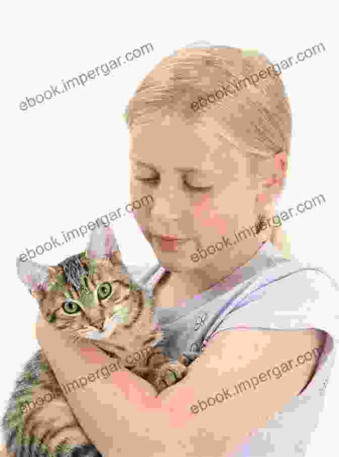 A Cute Kitten Cuddling With A Young Girl. The Whole Kitten Caboodle: The Whole Kitten Caboodle: 2nd Edition