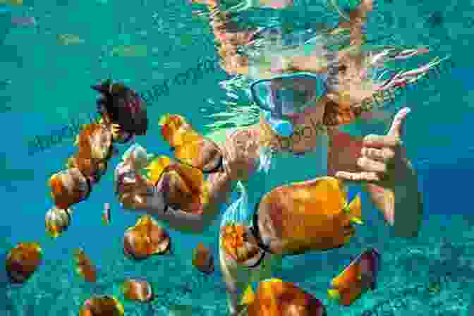 A Family Snorkeling In A Turquoise Lagoon Teeming With Colorful Fish Amazing Beaches ( Childrens Picture Age 1 5)