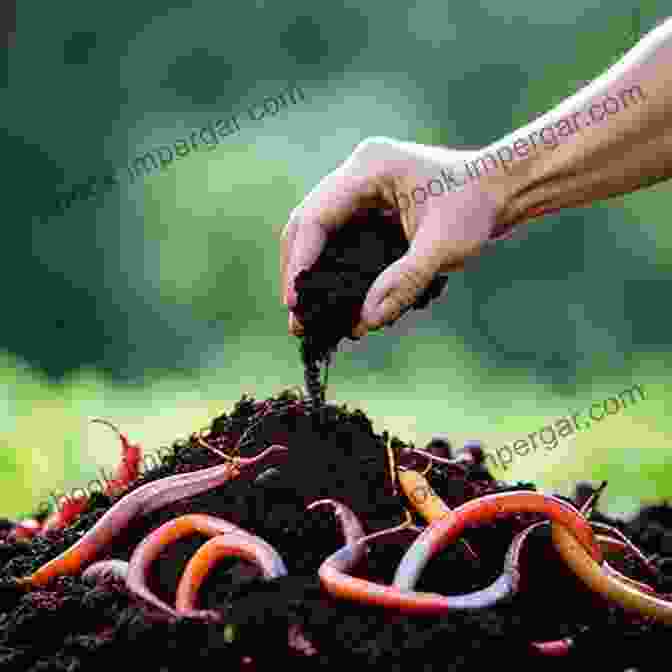 A Lush Garden Bed With Healthy, Nutrient Rich Soil Teeming With Earthworms And Organic Matter. INTENSIVE GARDENING : All You Need To Know About Pesticide Free Methods For Restoring Soil Nutrients