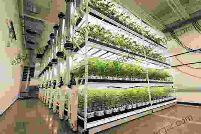 A Modern Plant Factory With Rows Of Vertically Stacked Plant Growth Systems Plant Factory Basics Applications And Advances