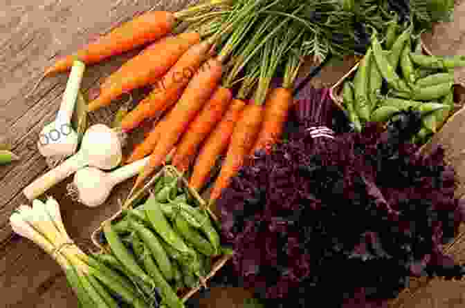 A Vibrant Array Of Colorful Vegetables Healthy Food Guide Recipe Books: Recipes For All Day: Easy Diet Recipes For Beginners