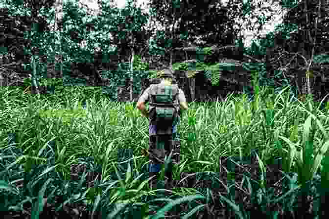 Adventurer Navigating A Dense Jungle Those Who Dared: The Guardian Of Adventure