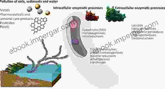 Applications Of Fungi In Metal Related Biotechnology And Medicine Metal Ions In Fungi Kevin Handreck