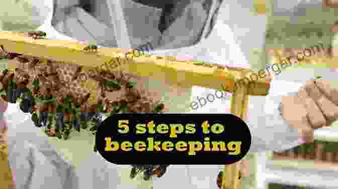 Beekeeping Equipment Beekeeping For Beginners: A Step By Step Guide To The Fundamentals Of Modern Beekeeping