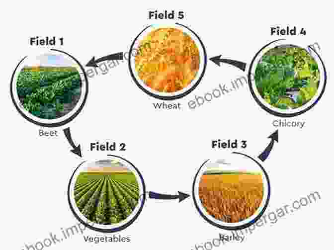 Crop Rotation And Pest Management Ecological Engineering For Pest Management: Advances In Habitat Manipulation For Arthropods