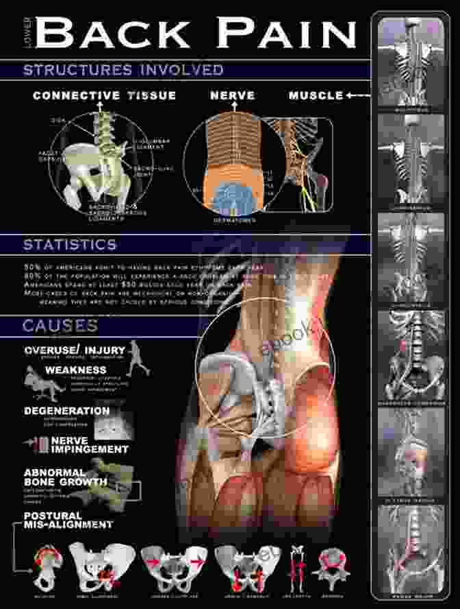 Diagram Of The Pain Anatomy A Quick Pain Management Primer: Unraveling Acute And Chronic Suffering (Innovations In Mind/Body Therapies 7)