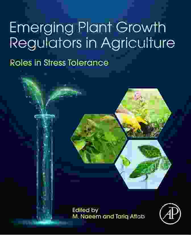 Emerging Plant Growth Regulators In Agriculture: A Comprehensive Guide Emerging Plant Growth Regulators In Agriculture: Roles In Stress Tolerance