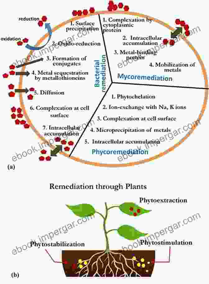 Essential Roles Of Metal Ions In Fungal Enzymes Metal Ions In Fungi Kevin Handreck