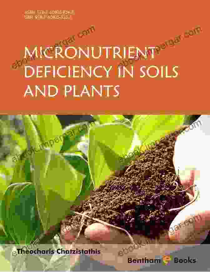 Micronutrients deficiency in soils and plants