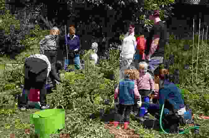 People Working Together To Build A Community Garden In An Urban Area Retail Inequality: Reframing The Food Desert Debate