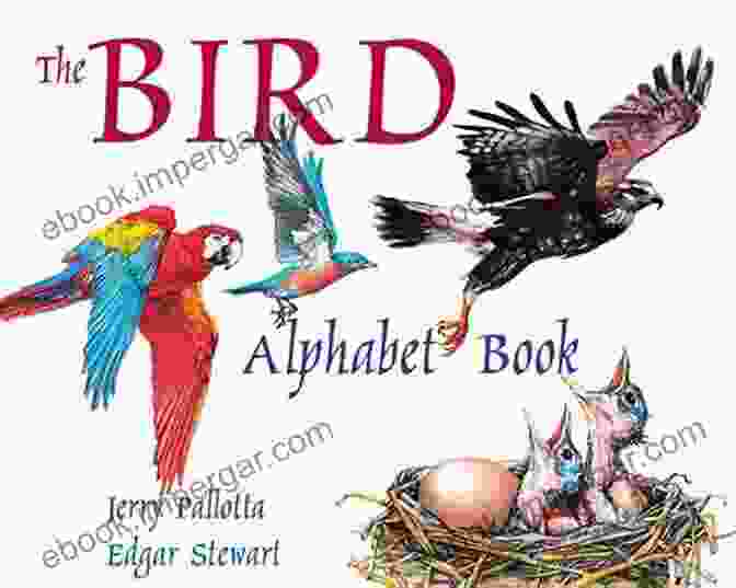 The Alphabet Of Birds Book Cover The Alphabet Of Birds