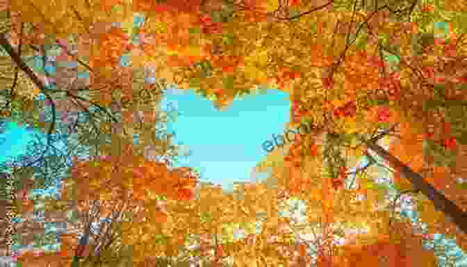 Vibrant Fall Leaves On A Tree Seasonal Songs For Southern Ontario