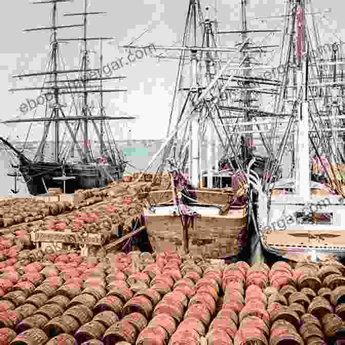 Whaling Ship In New Bedford Harbor Spinner Volume III: People And Culture In Southeastern Massachusetts