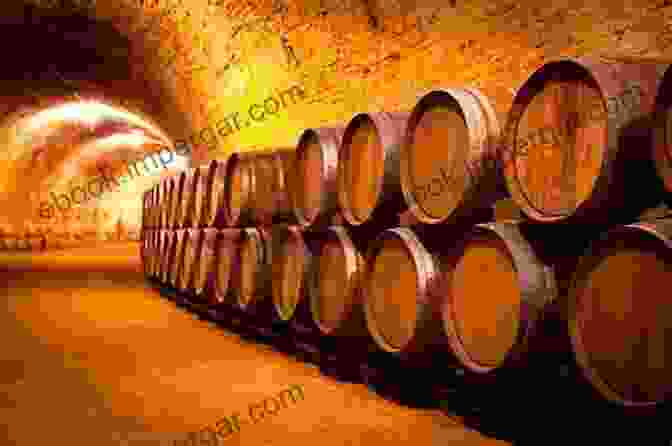 Wine Aging In Oak Barrels In A Cellar Wine Essentials With A Personal Touch: Everything You Need To Know About Wine Making