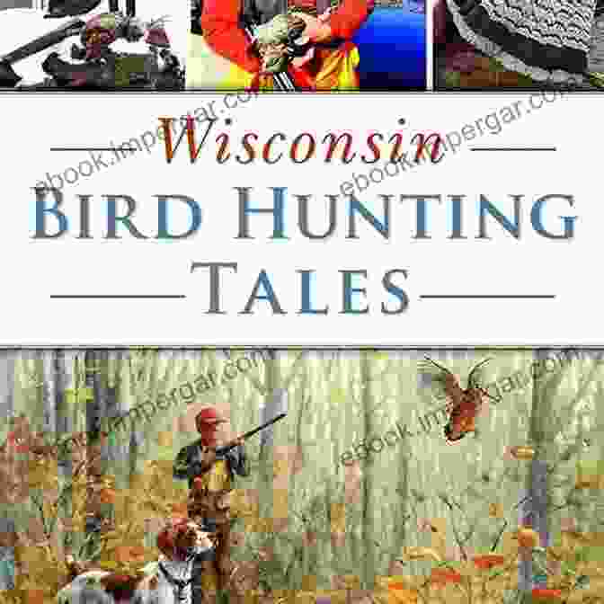 Wisconsin Bird Hunting Tales Book Cover Featuring A Hunter Aiming At A Bird In A Field With A Beautiful Sunset In The Background. Wisconsin Bird Hunting Tales (Sports)