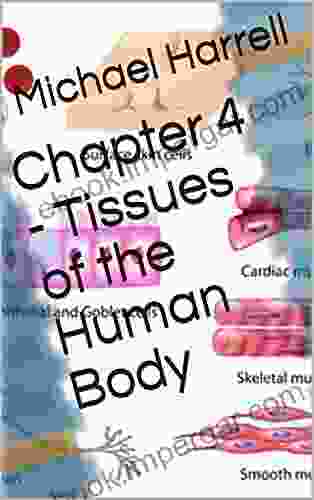 Chapter 4 Tissues Of The Human Body (Chapter For Human Anatomy Physiology)