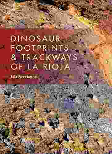 Dinosaur Footprints Trackways of La Rioja (Life of the Past)