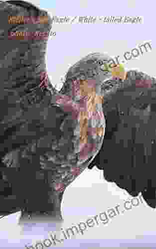 steller s sea eagle / white tailed eagle