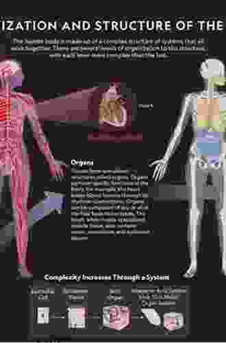 Structure Function Of The Body E (Structure And Function Of The Body)