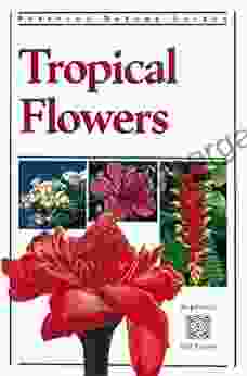 Tropical Flowers (Periplus Nature Guides)