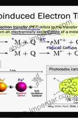 Dynamics And Mechanisms Of Photoinduced Electron Transfer And Related Phenomena: Conference Proceedings (ISSN)