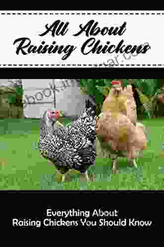 All About Raising Chickens: Everything About Raising Chickens You Should Know