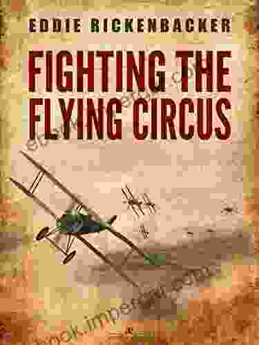 Fighting The Flying Circus