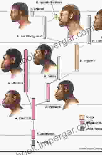 From Tools To Symbols: From Early Hominids To Modern Humans