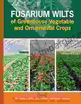 Fusarium Wilts Of Greenhouse Vegetable And Ornamental Crops