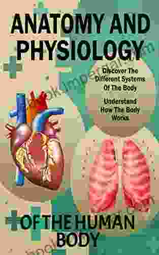 Anatomy And Physiology Of The Human Body: Basic Anatomy Biology And Physiology To Learn And Understand In An Easy And Simple Way