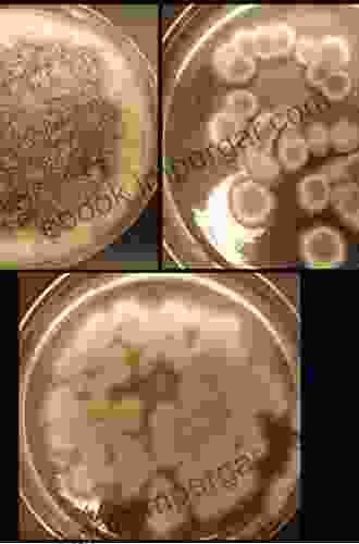 Metal Ions In Fungi Kevin Handreck