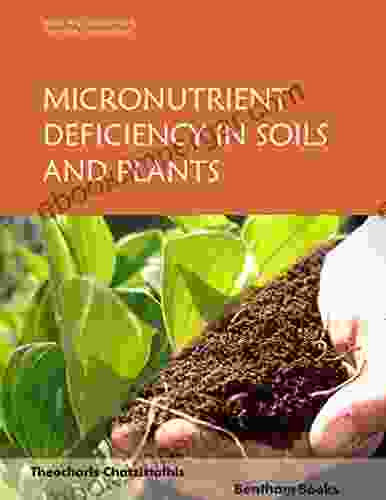 Micronutrients Deficiency In Soils And Plants