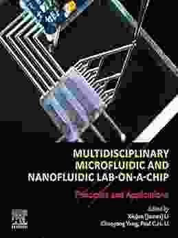 Multidisciplinary Microfluidic And Nanofluidic Lab On A Chip: Principles And Applications