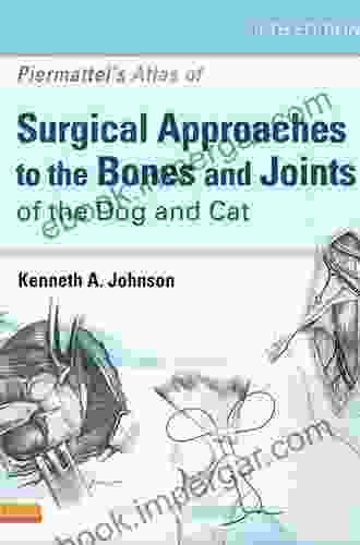 Piermattei S Atlas Of Surgical Approaches To The Bones And Joints Of The Dog And Cat