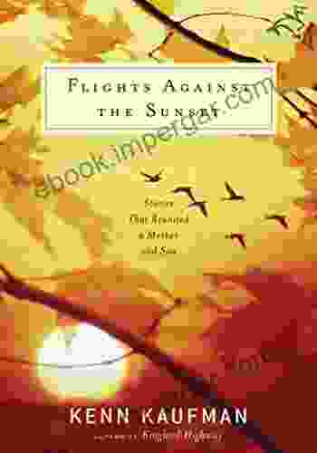 Flights Against The Sunset: Stories That Reunited A Mother And Son