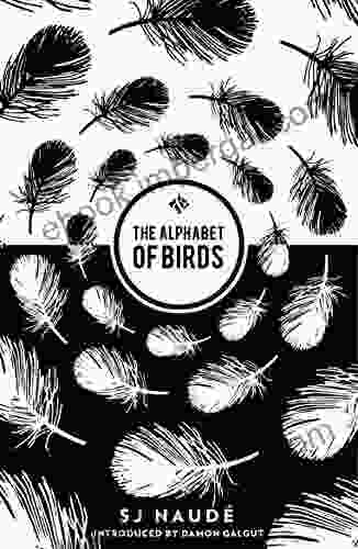 The Alphabet Of Birds