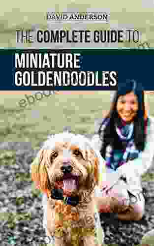 The Complete Guide To Miniature Goldendoodles: Learn Everything About Finding Training Feeding Socializing Housebreaking And Loving Your New Miniature Goldendoodle Puppy