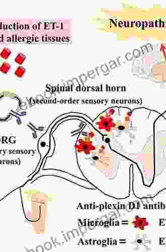 Pathogenesis Of Neuropathic Pain: Diagnosis And Treatment