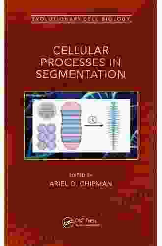 Cellular Processes In Segmentation (Evolutionary Cell Biology)