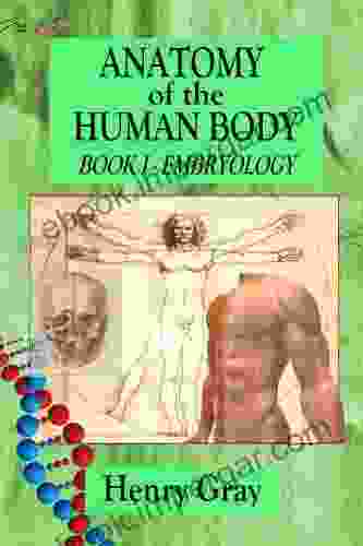 Anatomy Of The Human Body 1 Embryology