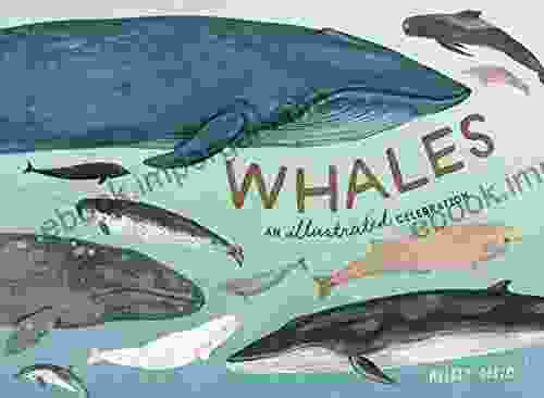 Whales: An Illustrated Celebration Kelsey Oseid