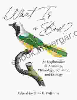 What Is A Bird?: An Exploration Of Anatomy Physiology Behavior And Ecology